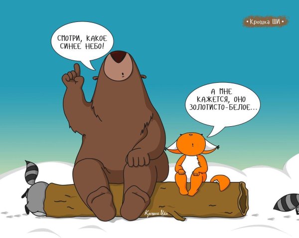 лиса и медведь любовь