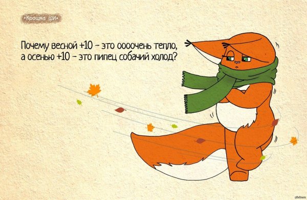 осень юмор