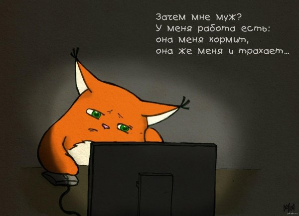 лиса на работе