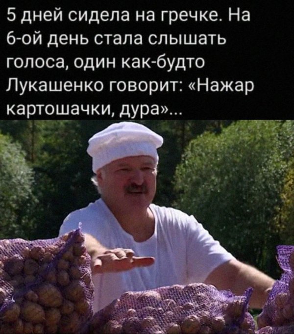 на жар картошечки лукашенко