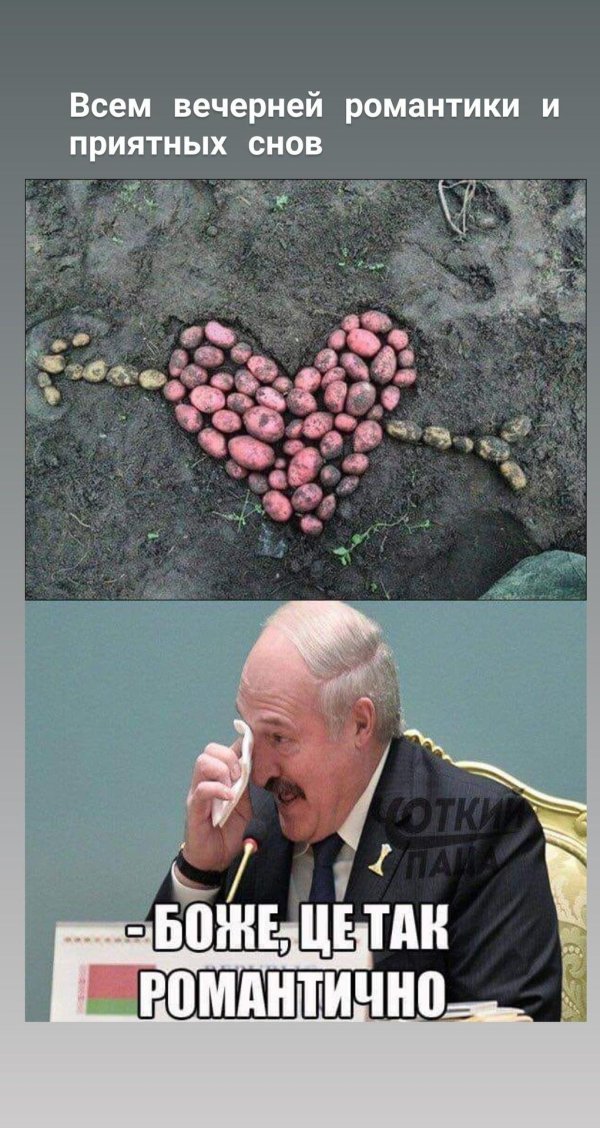 мемы про беларусь и картошку