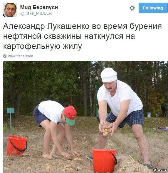 лукашенко и картошка