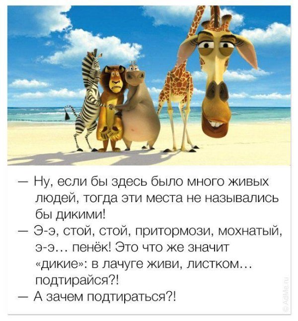 в мадагаскар