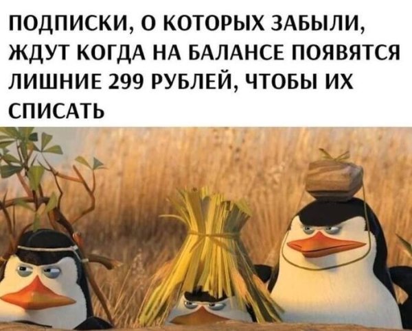 ковальски варианты