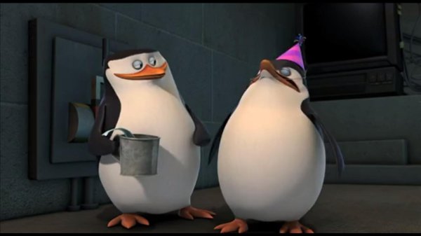 рико пингвины мадагаскара