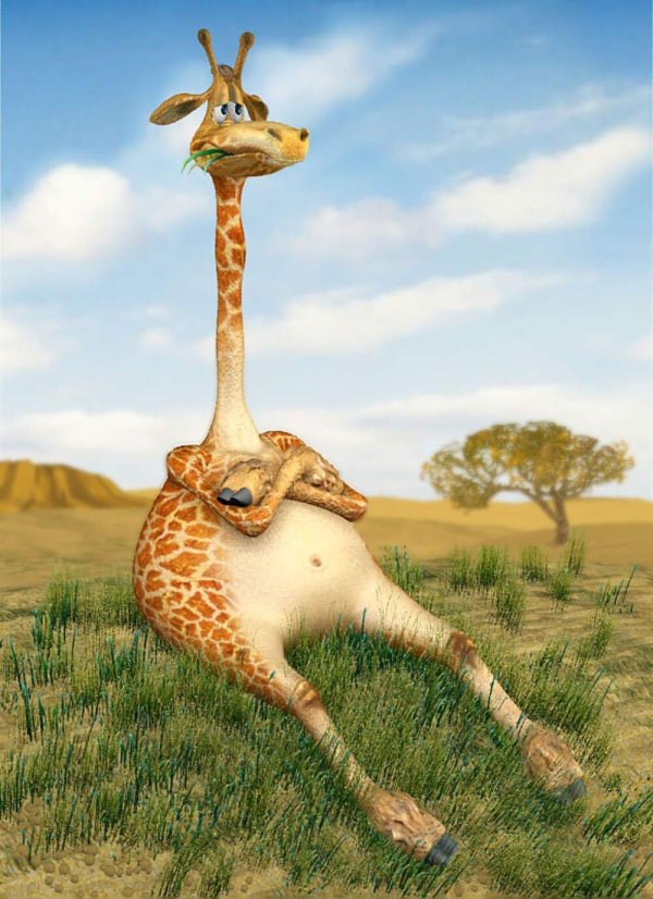 смешные жирафы