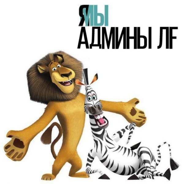 герои мультика мадагаскар