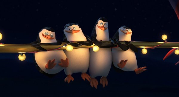 пингвины мадагаскара северный ветер