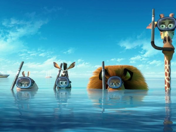 дримворкс мадагаскар