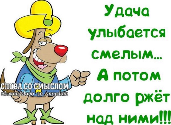 веселые статусы