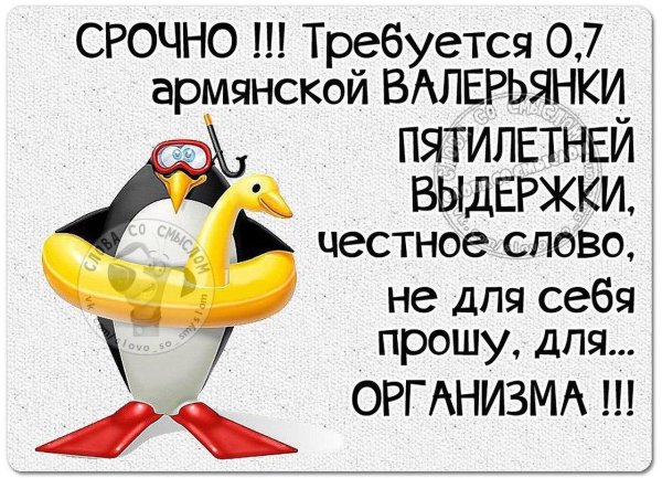 анекдоты шутки