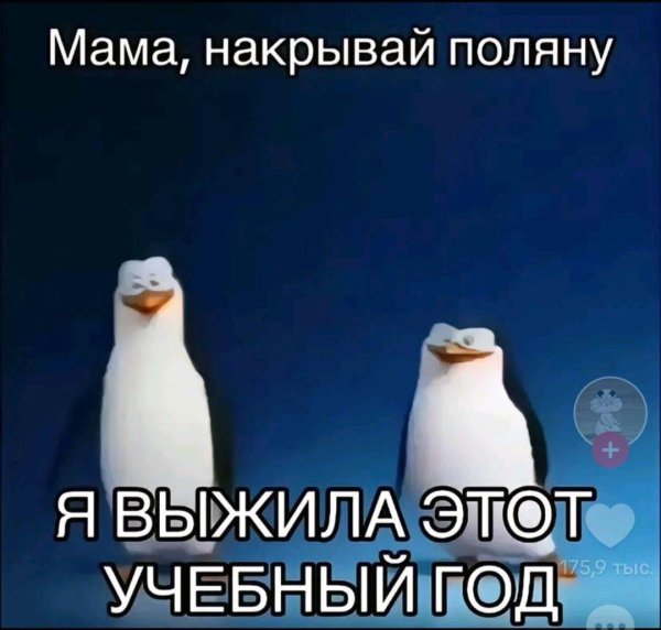 мама накрывай поляну я выжила этот учебный год