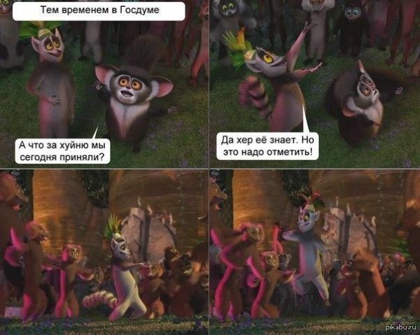 мадагаскар приколы