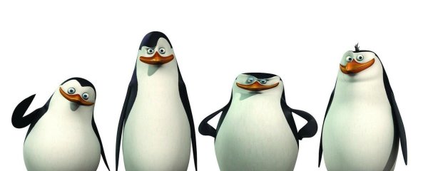 пингвин из мадагаскар