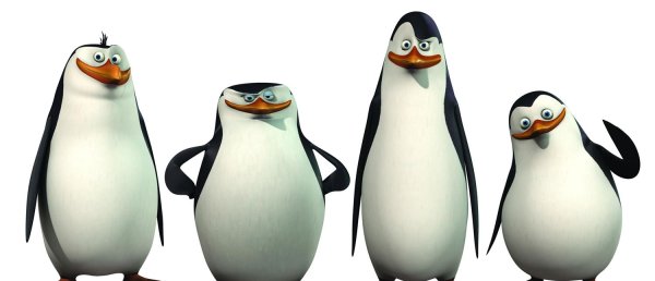 пингвины мадагаскара шкипер