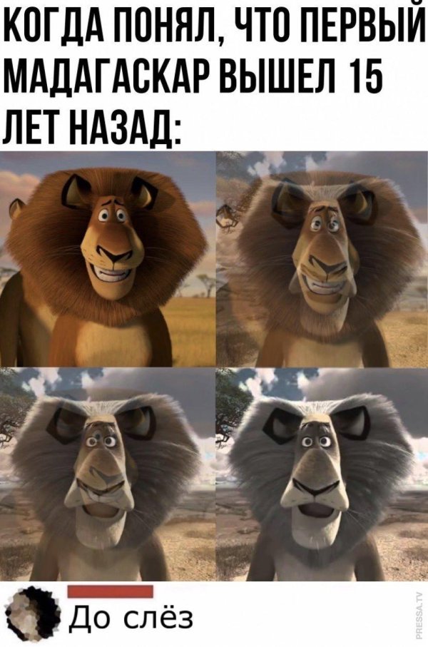 мадагаскар приколы