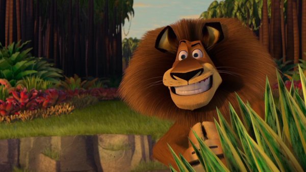 мадагаскар 2 лев макунга