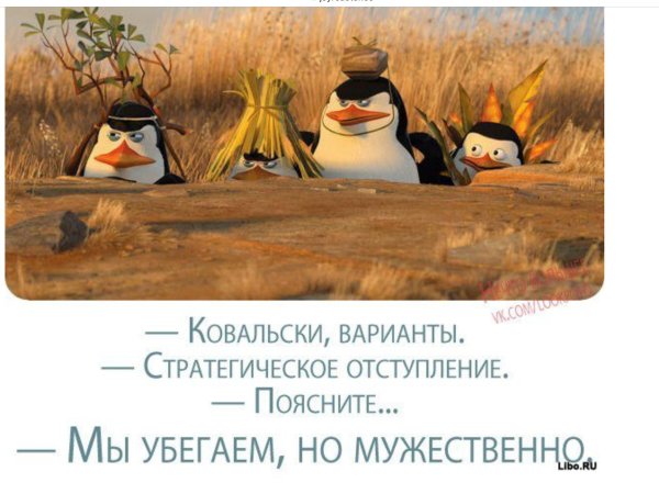 стратегическое отступление