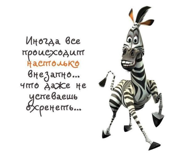 зебра мартин