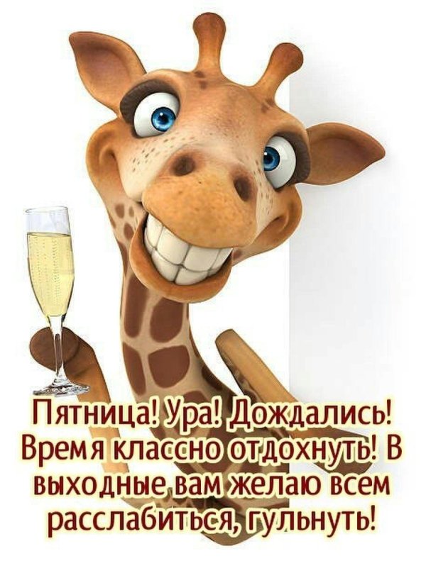 животное жираф