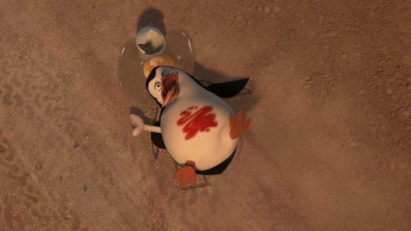 пингвин из мадагаскар