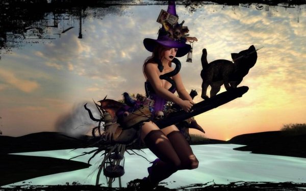 Баба яга на метле