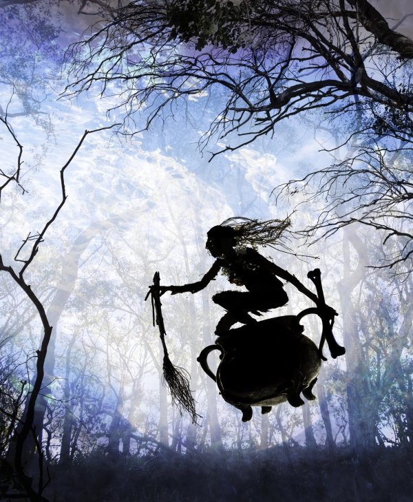 Баба яга на метле