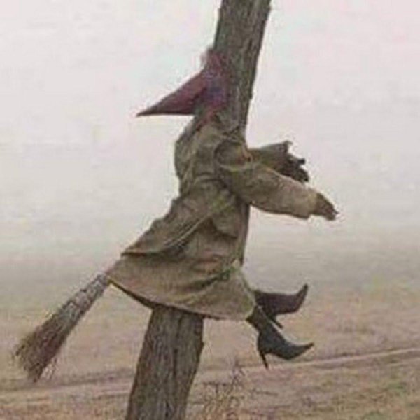 Баба яга на метле