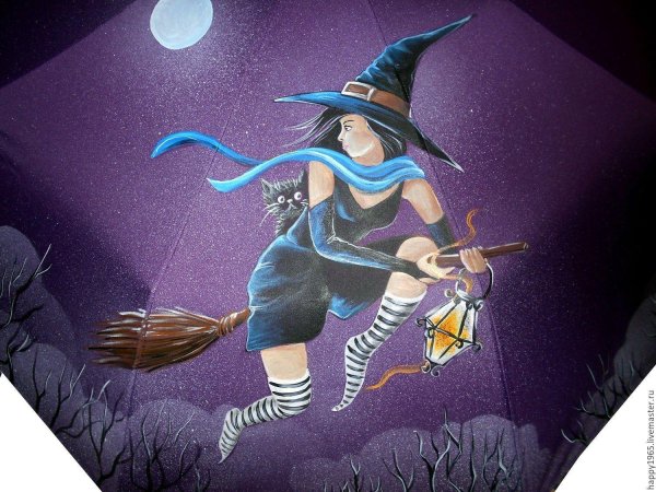 Баба яга на метле