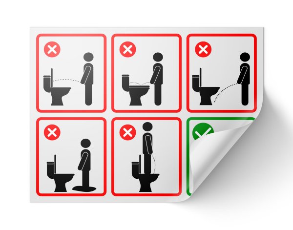 правила пользования туалетом