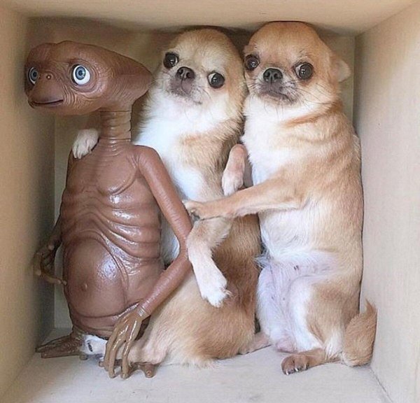 необычные демотиваторы