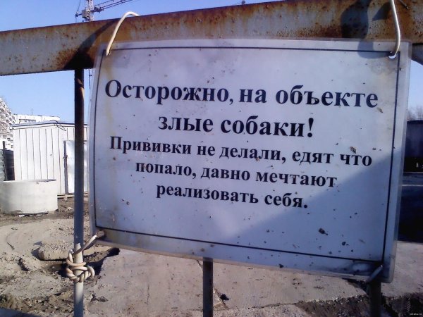 злая собака