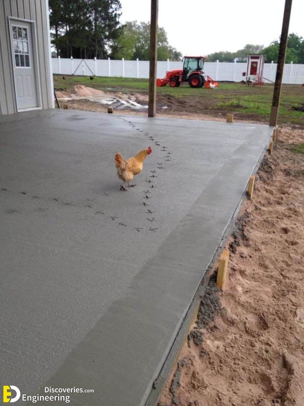 большой курятник