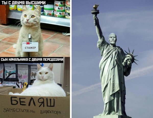 надписи прикольные