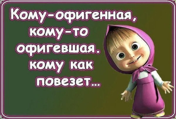 медведь прикольный