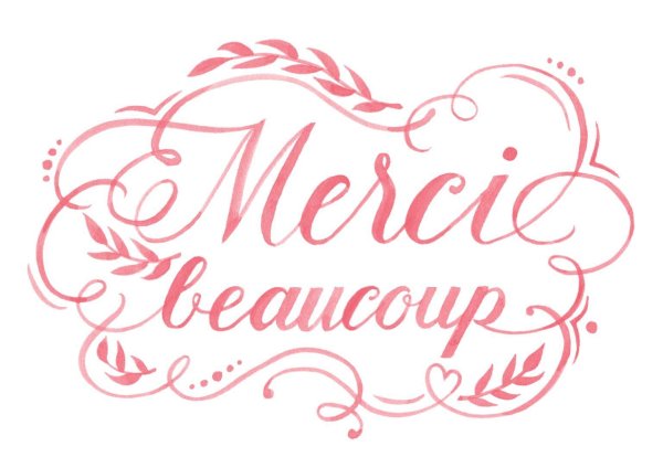 большое спасибо на французском