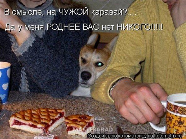 у меня ничего нет