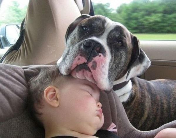 дети животные