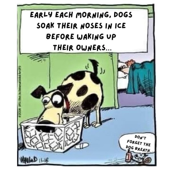 карикатура детская