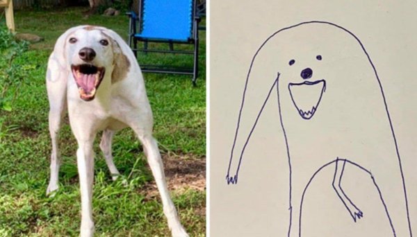 рисунок собаки легко