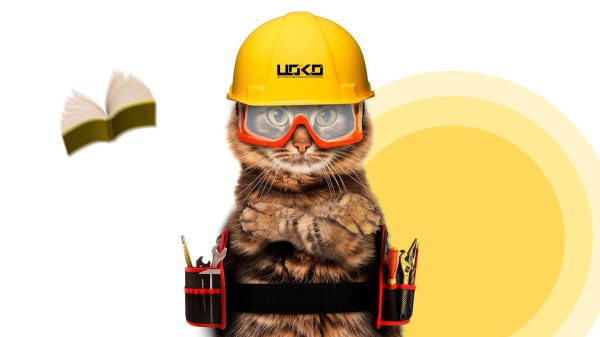 котики строители