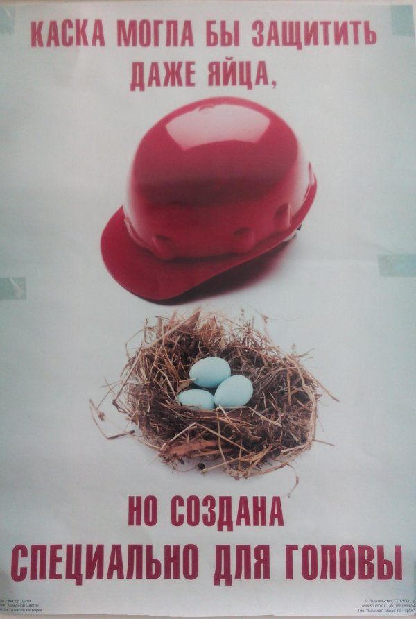 каска может защитить даже яйца