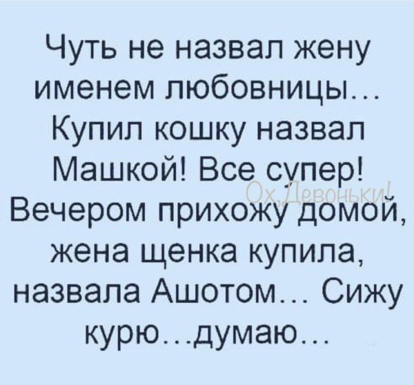 анекдот завел кошку назвал машка