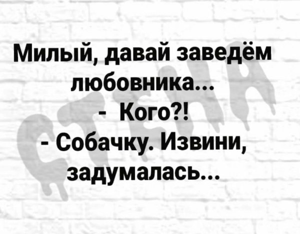 милый давай заведем собачку