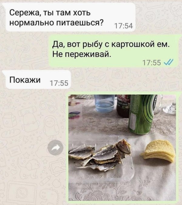 переписка смешная