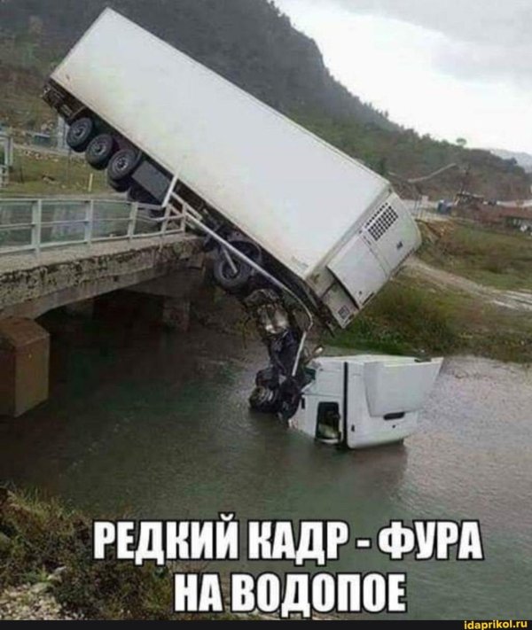 фуры на водопое