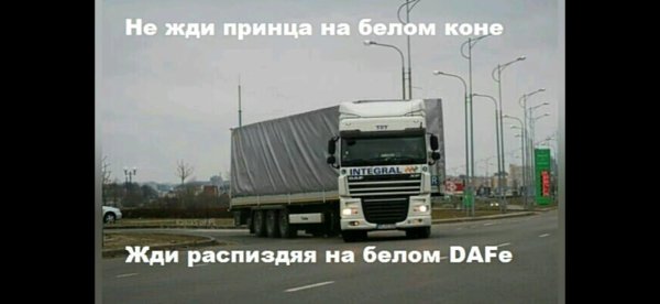 даф xf 105 дальнобой