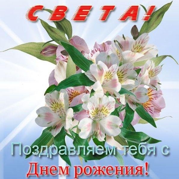 альстромерия ligtuhybrids