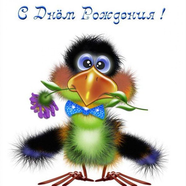 птицы мультяшные