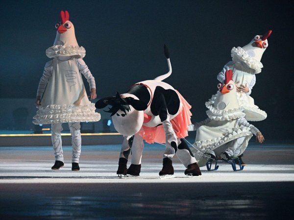 корова на коньках